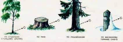 Як орієнтуватися без компаса