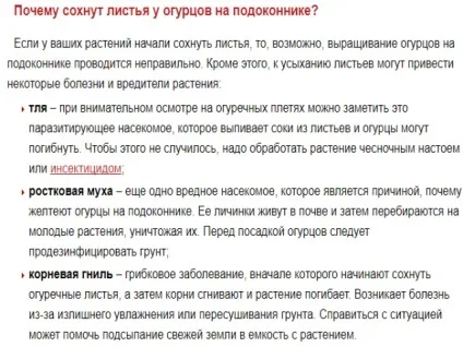 Як опиліть огірки на підвіконні методи і поради (підвіконні) Як опиліть огірки на підвіконні методи і поради