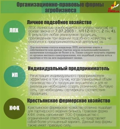 Як відкрити тепличний бізнес з нуля бізнес план з розрахунками (нуля) Як відкрити тепличний бізнес з нуля бізнес план з розрахунками