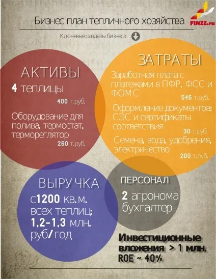 Як відкрити тепличний бізнес з нуля бізнес план з розрахунками (тепличний) Як відкрити тепличний бізнес з нуля бізнес план з розрахунками