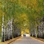 Як перепрограмувати своє життя