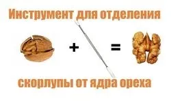 Як почистити волоський горіх швидко від шкаралупи і не пошкодити ядро (шкаралупи) Як почистити волоський горіх швидко від шкаралупи і не пошкодити ядро