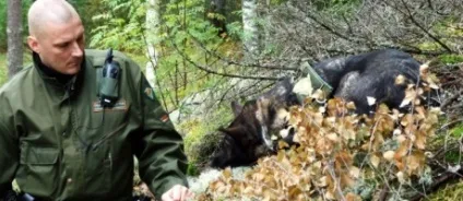 Як охороняють кордон - репортаж з прикордонзони - фінські сторінки на (фінські) Як охороняють кордон - репортаж з прикордонзони - фінські сторінки на