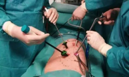 Який лікар займається хребтом (займається) Який лікар займається хребтом