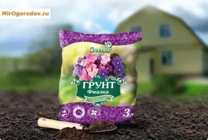 Як пересадити фіалку в період цвітіння і спокою (період) Як пересадити фіалку в період цвітіння і спокою