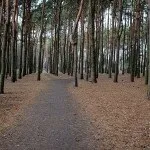 Як підготуватися до подорожі домаорганізація турів подорожей, організація турів подорожей (підготуватися) Як підготуватися до подорожі домаорганізація турів подорожей, організація турів подорожей