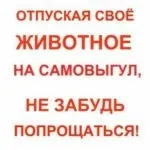 Як подружити кішку з кошеням, всім кішкам потрібен будинок (кішкам) Як подружити кішку з кошеням, всім кішкам потрібен будинок