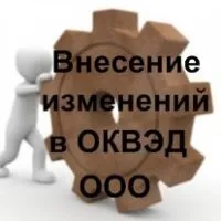 Як отримати КВЕД процедура для ип і ооо (процедура) Як отримати КВЕД процедура для ип і ооо