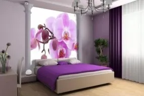 Як підібрати шпалери до фотошпалерами (cellry Guest cellry) Як підібрати шпалери до фотошпалерами