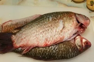 Як почистити карася від луски рецепти кулінарії (карася) Як почистити карася від луски рецепти кулінарії