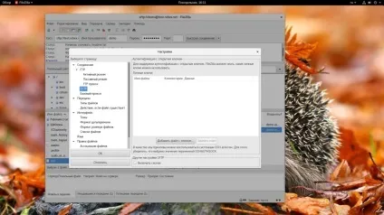 Як користуватися filezilla, losst