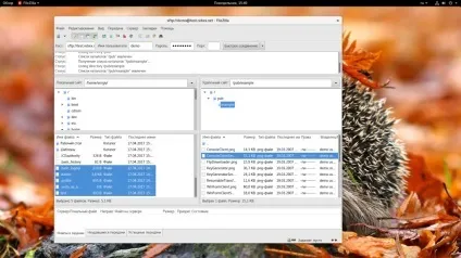 Як користуватися filezilla, losst