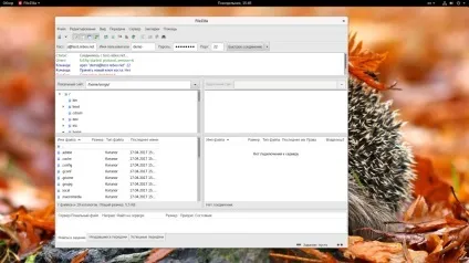 Як користуватися filezilla, losst