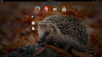 Як користуватися filezilla, losst