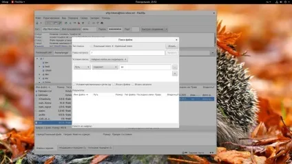 Як користуватися filezilla, losst
