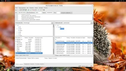Як користуватися filezilla, losst
