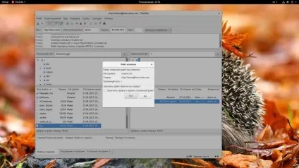 Як користуватися filezilla, losst