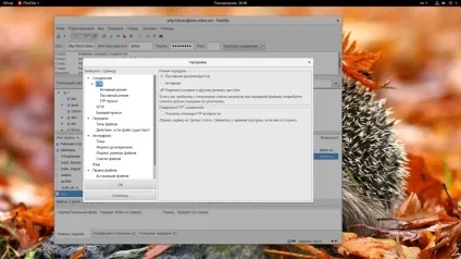Як користуватися filezilla, losst