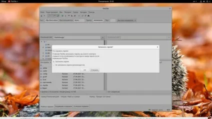 Як користуватися filezilla, losst