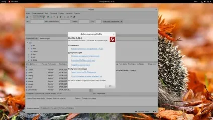 Як користуватися filezilla, losst