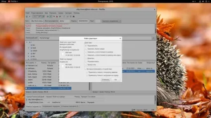 Як користуватися filezilla, losst