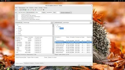 Як користуватися filezilla, losst