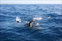 Як спіймати за хвіст акулу