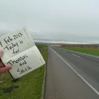 Як посадити орхідею з В'єтнаму, В'єтнам (орхідею) Як посадити орхідею з В'єтнаму, В'єтнам