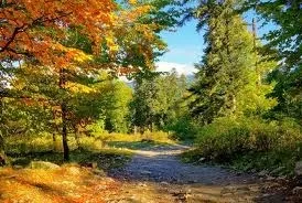 Як пізнати себе, світ і природу, поради психолога (пізнати себе природу) Як пізнати себе, світ і природу, поради психолога
