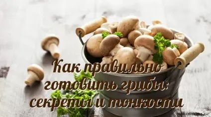 Як правильно готувати гриби секрети і тонкощі (готувати) Як правильно готувати гриби секрети і тонкощі