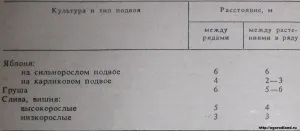 Як правильно посадити саджанці (зрошення плодових дерев) Як правильно посадити саджанці