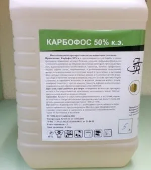 Як правильно застосовувати карбофос в боротьбі з шкідниками саду (обробка полуниці навесні від кліща) Як правильно застосовувати карбофос в боротьбі з шкідниками саду