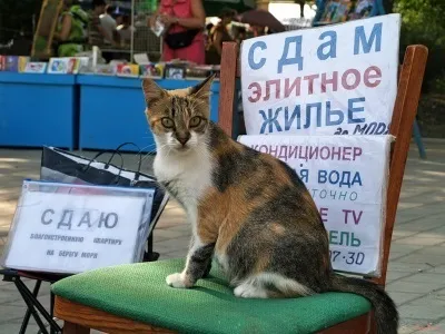 Як правильно зняти квартиру на тривалий термін зразок довгострокового договору оренди квартири (оренда житла підводні камені) Як правильно зняти квартиру на тривалий термін зразок довгострокового договору оренди квартири