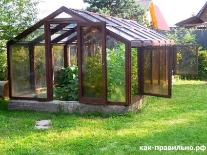 Як правильно облаштувати теплицю