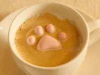 Як приготувати каву латте lavazza