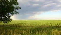 Як продовжити правильно прислів'я «смак не укажчик