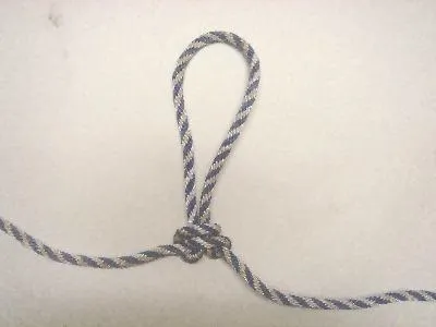 Як прив'язати повідець просто кріплення повідків до основної жилки (кріплення) Як прив'язати повідець просто кріплення повідків до основної жилки