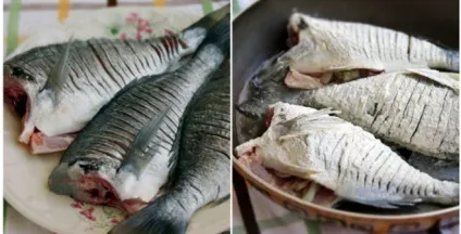 Як приготувати коропа без дрібних кісток (кісток) Як приготувати коропа без дрібних кісток