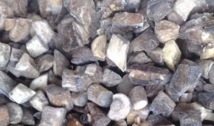 Як приготувати смажені підберезники фото і покрокові рецепти приготування грибів різними (підберезники) Як приготувати смажені підберезники фото і покрокові рецепти приготування грибів різними