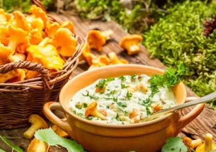 Як приготувати смачно гриби лисички на сковороді (гриби) Як приготувати смачно гриби лисички на сковороді