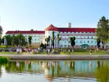 лікуванням