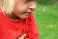 Як розчиняти смекту