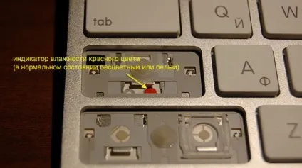 Як розібрати apple wireless keyboard і підлягає вона ремонту