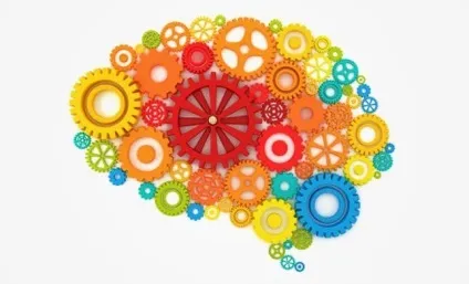 Як розвивати швидкість мислення (мислення) Як розвивати швидкість мислення