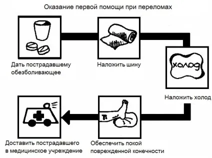 Як розробити ногу після перелому гомілкостопа (ЛФК, масаж) (розробити) Як розробити ногу після перелому гомілкостопа (ЛФК, масаж)