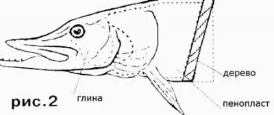 Як зробити чучело риби і зберегти рибальський трофей - майстерклас частина 2 (опудало) Як зробити чучело риби і зберегти рибальський трофей - майстерклас частина 2
