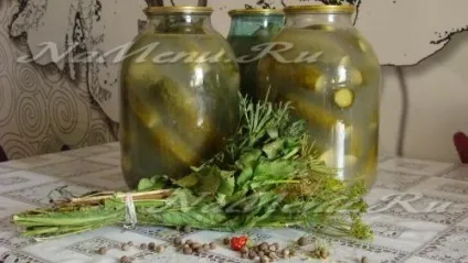Як зробити кислі огірки на зиму (кислі огірки зиму) Як зробити кислі огірки на зиму