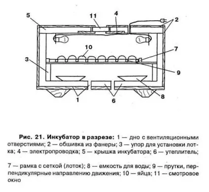 Як зробити інкубатор своїми руками в домашніх умовах, сам собі будівельник (зробити) Як зробити інкубатор своїми руками в домашніх умовах, сам собі будівельник