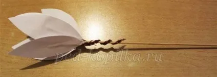 Як зробити квітку з паперу своїми руками лілія, гвоздика і японська сакура (зробити) Як зробити квітку з паперу своїми руками лілія, гвоздика і японська сакура
