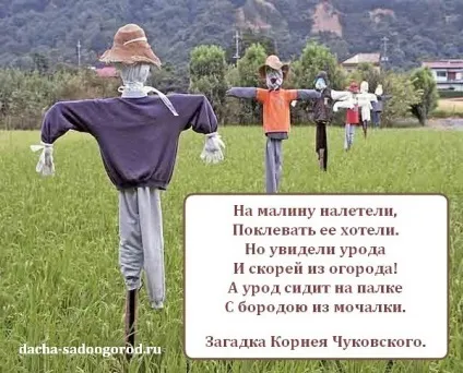 Як зробити пугало городнє своїми руками, дача, сад, город і заміське життя (город) Як зробити пугало городнє своїми руками, дача, сад, город і заміське життя